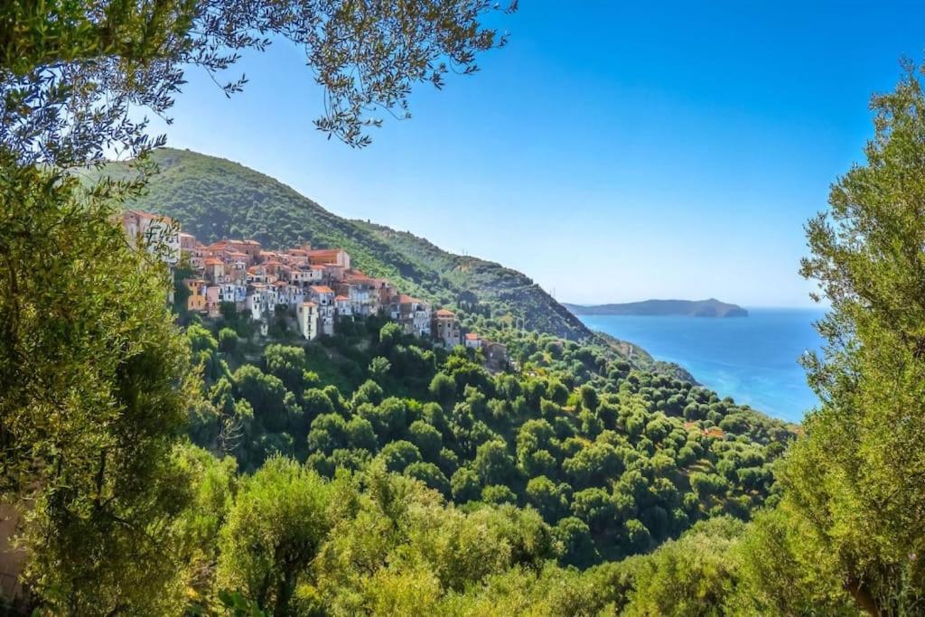 La Villa Di Nonna Angela Pisciotta Eksteriør billede